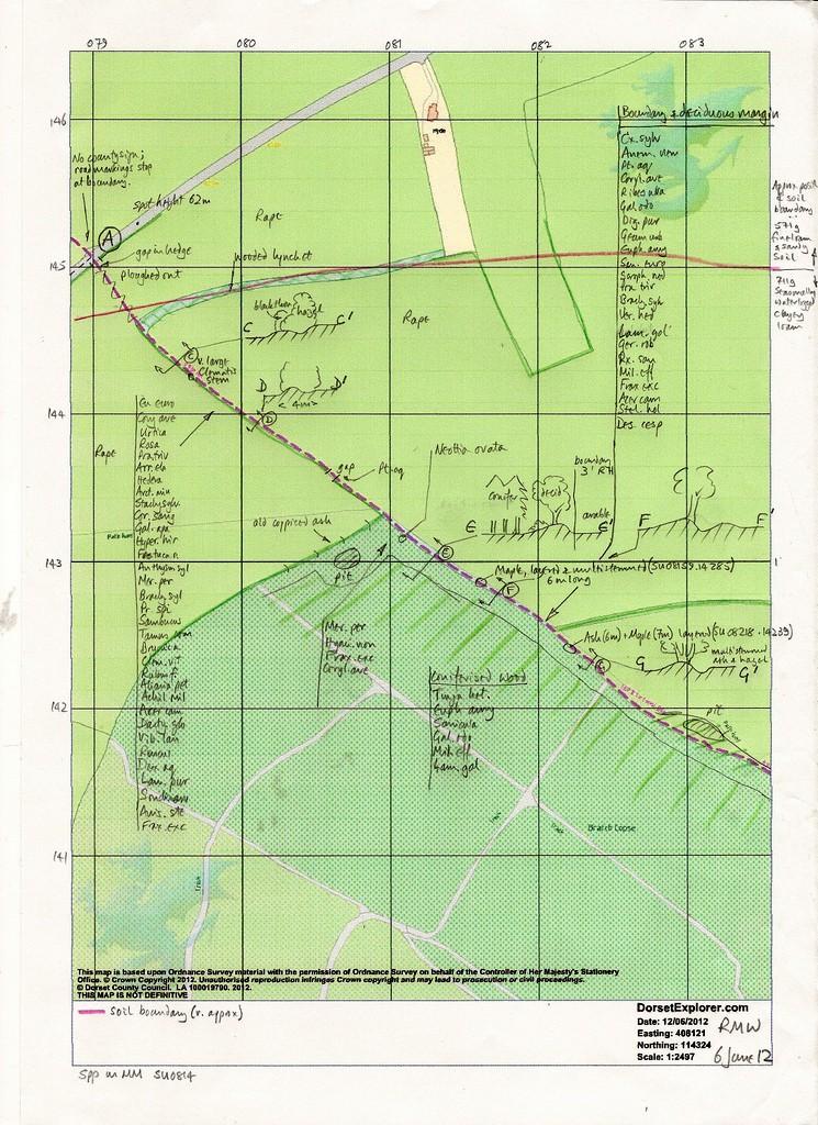 MAP 1 Dorset Explorer Basemap with 100m grid lines and definitive Boundary
