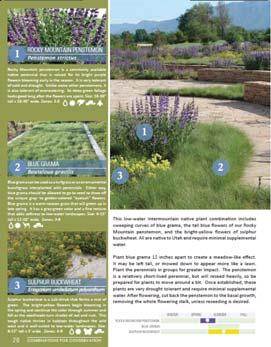 plant combinations that have been successful in low-water gardens throughout the Intermountain West.