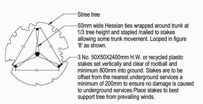 4.1.2 Tree Staking Industrial Estates: Tree stakes should be a minimum of 75 x 75 x 2400mm.