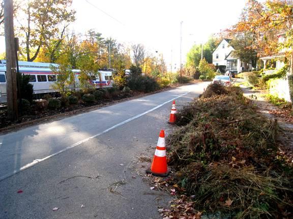 2015 Fall Clean-Up by Concerned Neighbors November 7, 2015 Consultants recommended that all the weeds needed to be removed to
