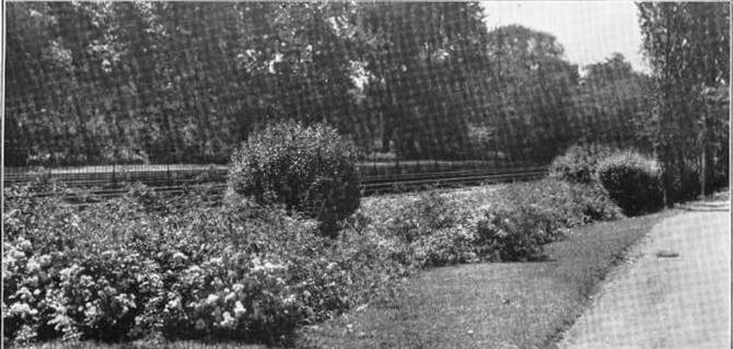 Merion Civic Association Yearbooks 1931: The window boxes at the Station, Post Office and Waiting Room continue to receive the necessary care by your Association.