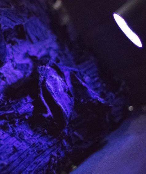How Ultraviolet (UV) Light is Used in Arson Investigations Advantages of Investigating With UV Light UV light is not affected by environmental factors such as temperature, humidity, and wind