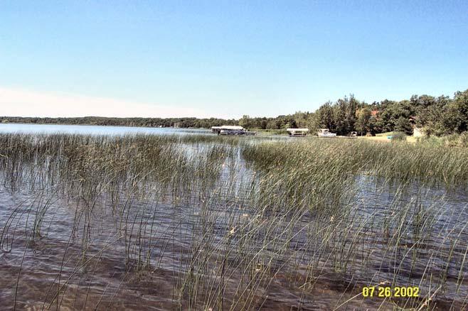 Aquatic Vegetation of Edward Lake Crow Wing County, Minnesota (DOW 18-0305-00) July 8, 9, 14,