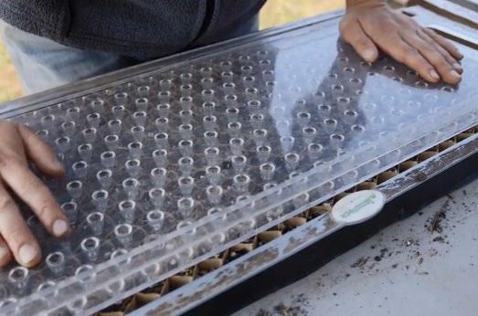 The top layer of holes is purposefully misaligned from the bottom and is filled by adding seed to the plate and shaking it back and forth until each hole has a seed in it.