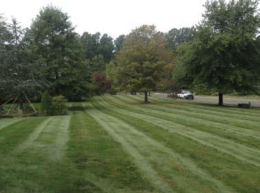 Fine Gardening & Grounds Maintenance Fine Gardening Seasonal Maintenance Turf & Lawn