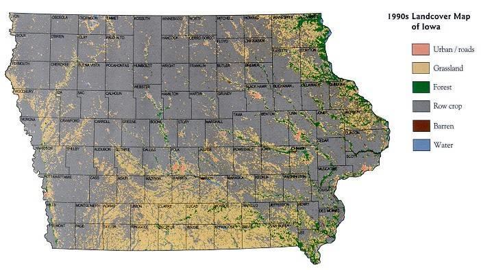 Iowa Vegetative History 1990 s Dominated by row crop agricultural Grassland