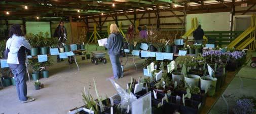 Volunteer Master Gardeners in both the current class and many previous classes assisted plant sale customers, answering many planting questions.