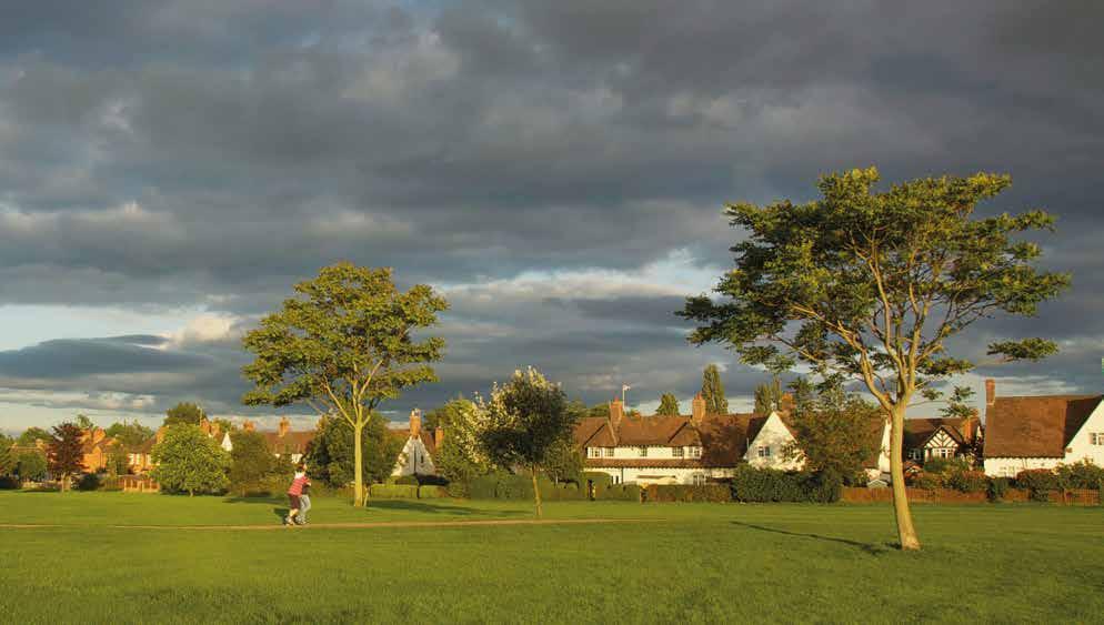 Photo: Andrew Dow Shottery Fields Local Green Space 3 Stratford-upon-Avon Town