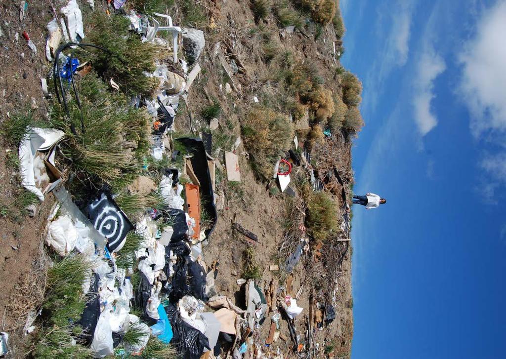 We all end up paying Lower property values. Littering is physical graffiti. Dumping and litter deter visitors and new business.