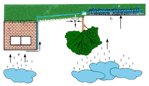 A. Precipitation is carried from roof by roof drains to storage beds. B.