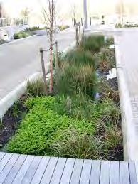 Infiltration Bioretention Dry Swale