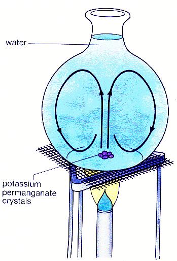 Convection in water Potassium permanganate crystals are used to dye water purple.