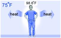 Heat Transfer The science of how