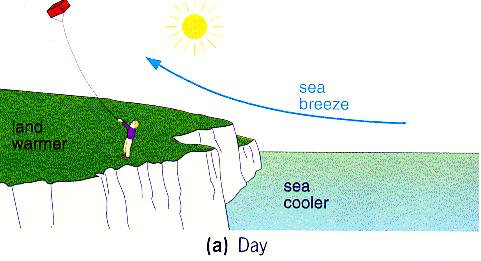 A sea breeze consists of cooler air that moves in from the sea to replace the