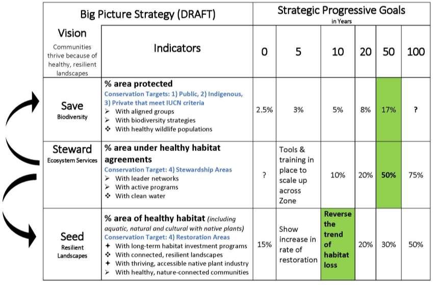 Big Picture Protected Areas Strategy Proposed Goals: