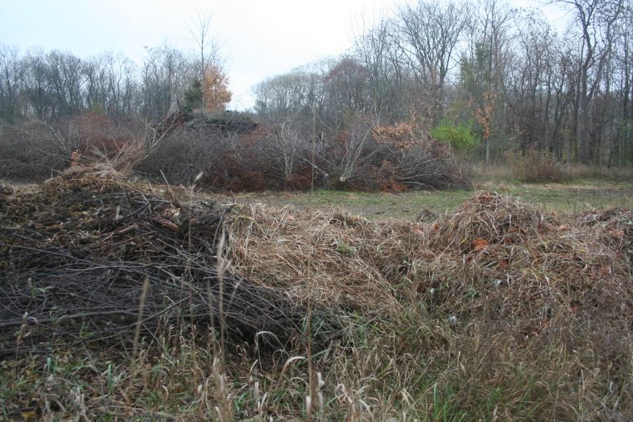 XIV. Organic Recycling (OR) Site for decomposition of organic landscape waste (photo by Paul Gourley) Goals: Landscape management and maintenance generates large quantities of organic material that