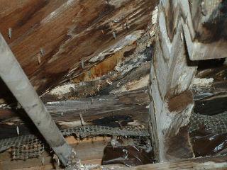 Several Structural floor joists were inappropriately cut away.