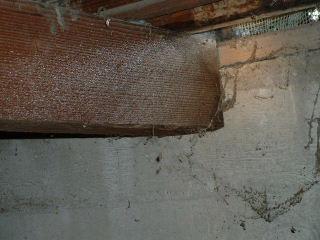 Pest screen at crawlspace vent was damaged where pipe was run