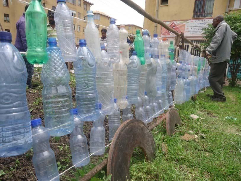 Plastic waster bottle irrigation method was also demonstrated to slowly add water