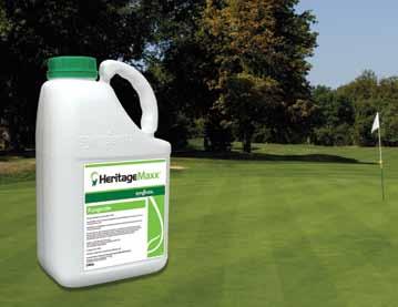 Take Turf Disease Control to the Exceptional easy-to-use formulation Faster and more complete uptake by leaf and root Active recycling gives long lasting effects Systemic protection against foliar