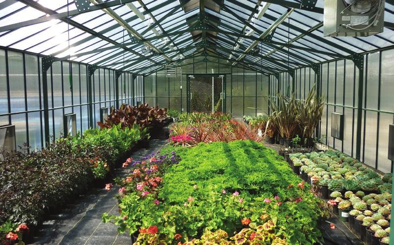 TRADITIONAL POLYCARBONATE GREENHOUSE Consistent light diffusion and even temperatures create a