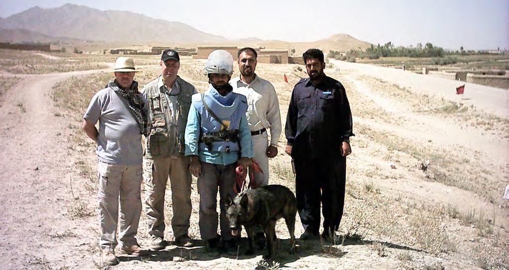 Dogs and rats offer reliable and extremely fast detection of mines and other explosive remnants when trained and managed properly.