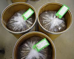 Barrels of Seed Seed is packaged in sturdy plastic-lined fibre drums for shipment to seeding projects across