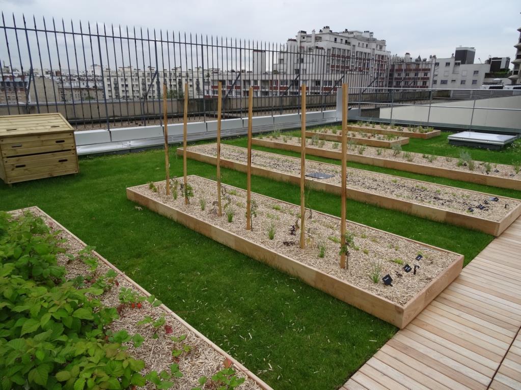 Green Roofs and