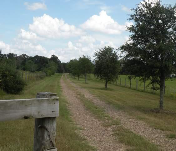 com A NEW ORLEANS STYLE 2-STORY COUNTRY HOME ON 30.277 ACRES with a view of the historic Cat Spring countryside.
