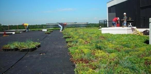 Fully Modular Flat roofs or low slope (2:12 pitch) Moveable Planted and established