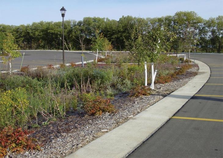 Extensive Areas of Black Roofs & Parking Lots Raising Stormwater Outfall Temperatures Evaluate 30 Potential Locations for Bioretention Basins: Proximity to Stormwater Source; Minimal Slope; Good Soil