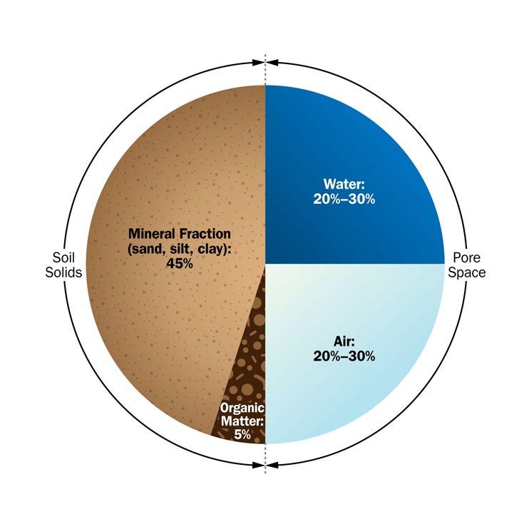 The C horizon is parent material the material from which the soil formed. In Ontario, the parent material could be anything from till to sand to a highly productive windblown material called loess.