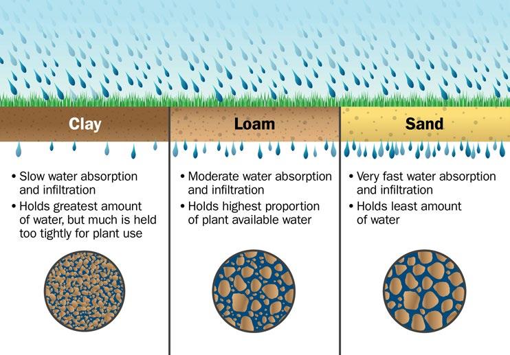Figure 1 4. Drainage and water-holding characteristics of major soil textural classes A soil s ability to hold water can be thought of as that of a sponge.