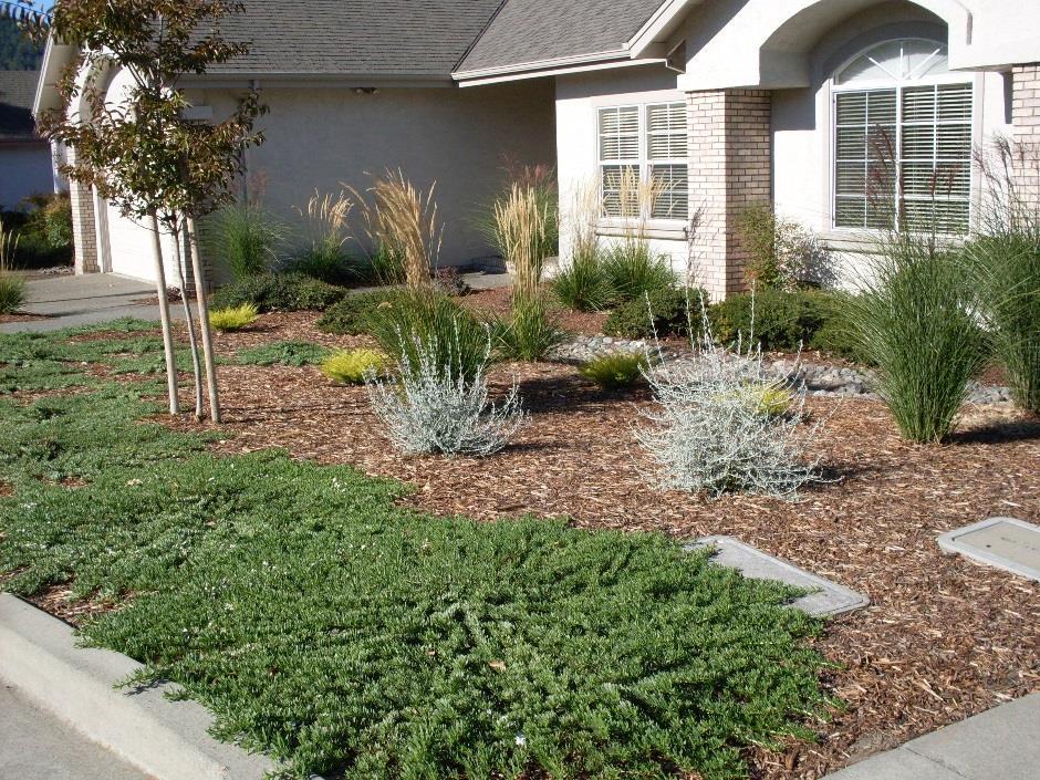 Adjust plantings - Different lot size If your lot is 25% smaller than the size of your chosen plan, reduce plantings by 25% If your lot is 10% larger