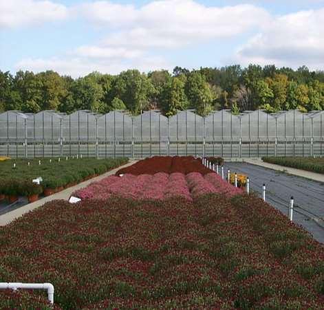 Greenhouse Types Section 8 Roof covering or glazing material determines the type of