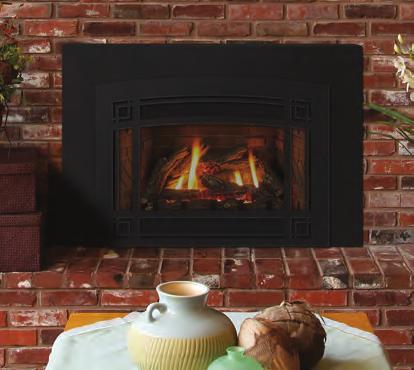 Direct-Vent Fireplace Inserts Innsbrook Traditional Inserts A wood-burning fireplace sends more than