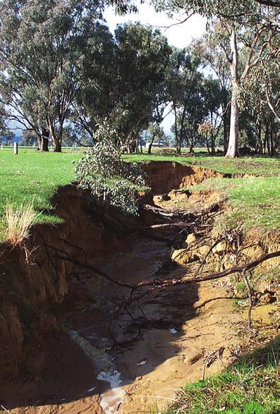 Possible activities for gully control Revegetation and fencing is the key step at all sites.