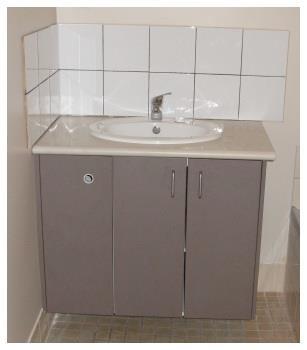 cupboard and bench top (basin