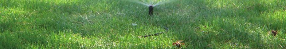 There are no assigned watering days, but never water a zone more than three days a week.