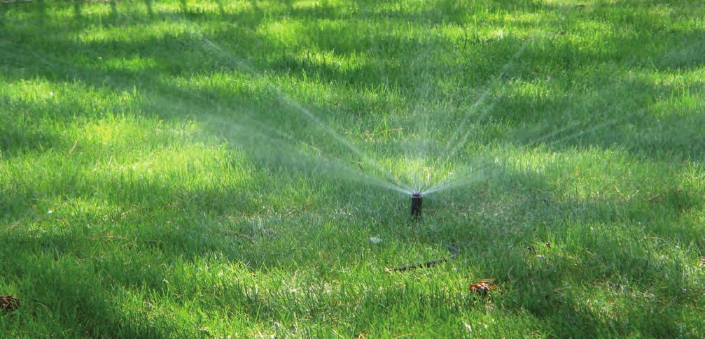 The two most common types of heads are: Fixed spray head Pops up from the lawn s surface and sprays a fixed pattern; head does not rotate Ideal for smaller, fragmented, hard-to-reach areas Typically