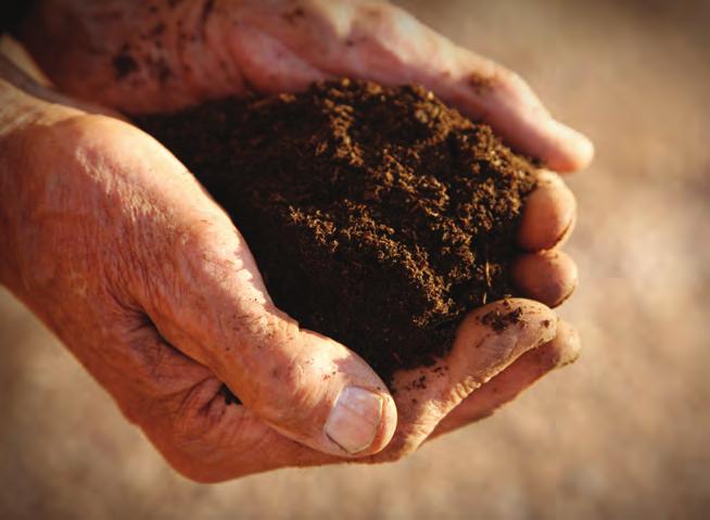 Composting Most soils can be improved by adding compost, which helps retain water in the soil and at the plant s roots.