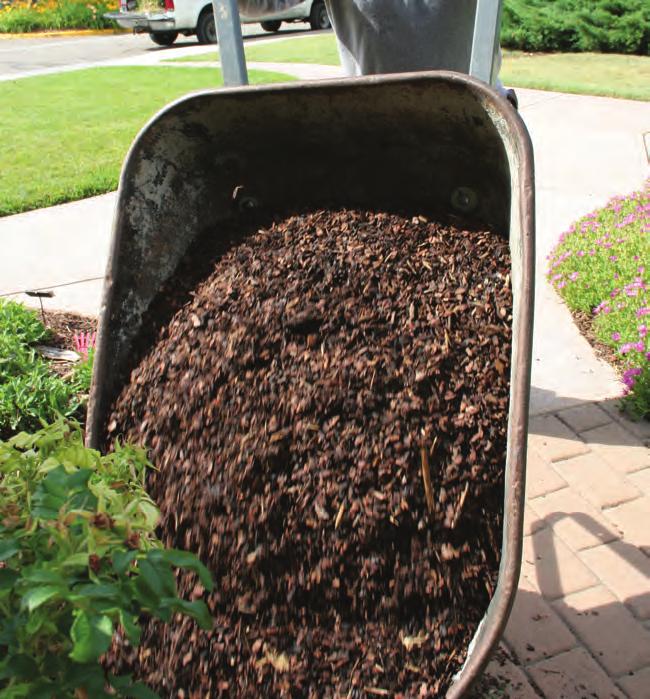 4. Mulch Mulch keeps plant roots cool, prevents soil from crusting, minimizes evaporation and reduces weed growth.