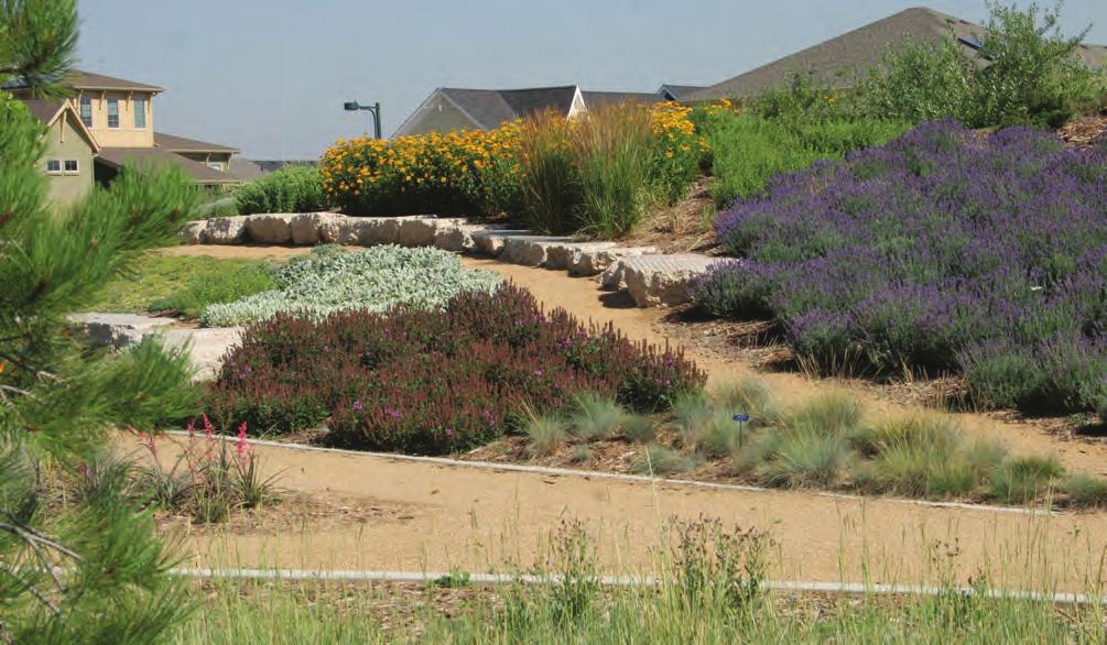 Inorganic mulches, such as rocks and gravel, should be applied at least 2 inches deep. Boulders, rocks and gravel make great natural drainage areas or dry beds.