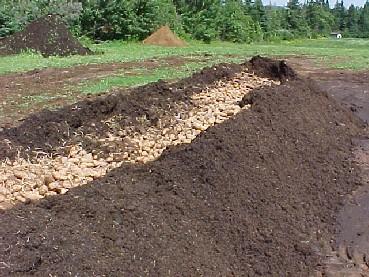 Potato based compost @ 35 days pile wet, 30