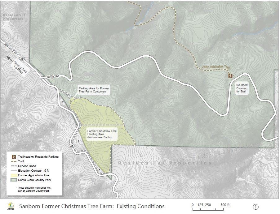 FORMER CHRISTMAS TREE FARM PROPERTY EXISTING CONDITIONS Heavily wooded, likely history of logging Previously disturbed for commercial