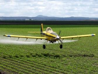 Commercial farming uses harsh pesticides and fertilizers to create synthetically