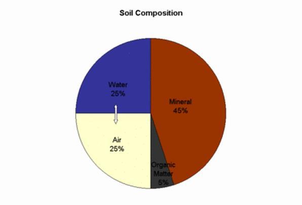 Ideal Soil Composition Minerals 40-50% Gravel, cobbles, stone Sand Silt Clay Pore Space 50%
