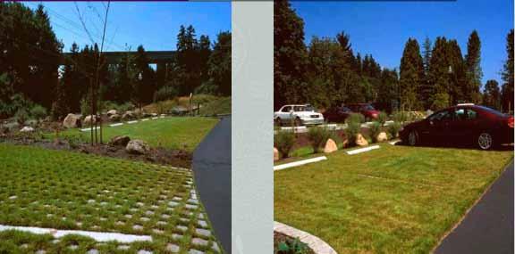 Landscape Water-Use Efficiency Post-construction stormwater-control measures can be divided into four categories: site design source controls stormwater treatment hydro-modification management Each