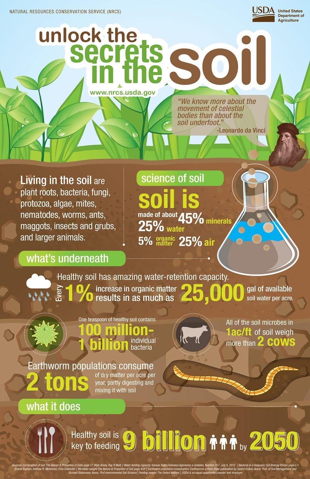 Background Soil is a key element that plants, animals and humans depend on. Unfortunately, there are many environmental challenges associated with soil including erosion and desertification.