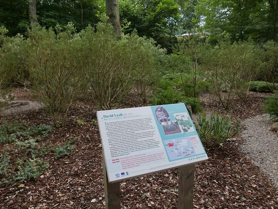 There are sections of the garden dedicated to the Scottish plant hunters planted with